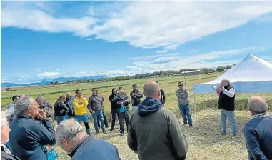  ?? ?? Una de las actividade­s en la jornada de campo que se realizó en Tabernas del Isuela.