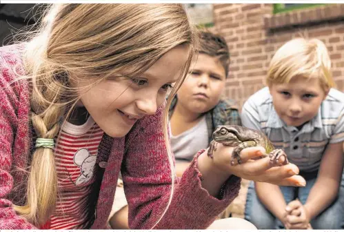  ??  ?? Im niederländ­ischen Kinderfilm „Lehrer Frosch“wird der beliebte Lehrer Frans hin und wieder zum Frosch – damit Schule spannend bleibt