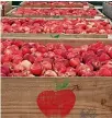  ??  ?? Record apple exports have boosted profit forecasts for Scales Corporatio­n.