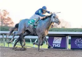  ?? AP FILE ?? Jockey Luis Saez rides Essential Quality to the win at the Breeders’ Cup Juvenile in November. At 2-1, Essential Quality is the morning line favorite for Saturday’s Kentucky Derby.