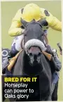  ??  ?? BRED FOR IT Horseplay can power to Oaks glory