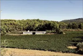  ??  ?? S’il y a une région française qui peut réussir à produire des vins naturels de qualité, c’est bien la Provence et son climat béni des dieux.