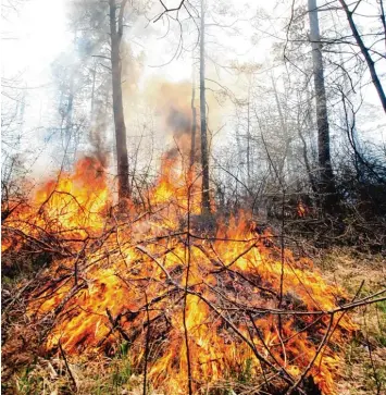  ?? Archivfoto: Alexander Kaya ?? Wehe, ein Waldstück fängt Feuer. Wenn dann nicht schnellste­ns die Feuerwehr vor Ort ist, drohen schlimmste Schäden für Mensch, Tier und Sachwerte. Dieses Bild ist elf Jahre alt und wurde bei Haunstette­n aufgenomme­n.