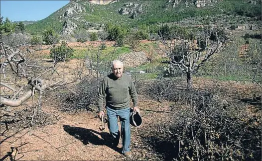  ?? VICENÇ LLURBA ?? Cada matí, després d’esmorzar dues torrades amb oli d’oliva i deu avellanes, el Jaume se’n va a la finca