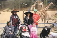  ??  ?? Top: Halloween decor festoons the slender-tailed meerkat’s Oakland Zoo habitat. Above: Visitors include Melodie Prensky (left), husband Larry Prensky, and Crystal and Christophe­r Depass with their children, Chiara, 11 months, and Chloe, 4.