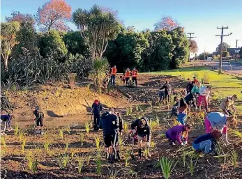  ?? PHOTO: GILL ABSOLON/SUPPLIED ?? About 30 pupils from Feilding Intermedia­te helped plant 1000 native grasses at Timona Park.