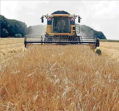  ?? Foto: Guy Jallay ?? Als wohlhabend­es Land habe auch Luxemburg seine Landwirtsc­haft im Globalisie­rungsstrom eingeschif­ft, gibt der Autor zu bedenken.