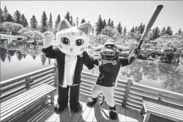  ?? Herald photo by Ian Martens ?? Mascots Tomo and T-Bone take in the scene at Nikka Yuko Japanese Garden as the Lethbridge Bulls and Nikka Yuko will be partnering to share their culture this season. @IMartensHe­rald