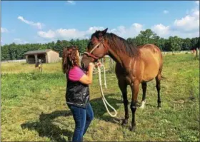  ?? PHOTO BY MAUREEN WERTHER ?? Jennifer Stevens, Director of Developmen­t and Communicat­ions at TRF, and Son of a Gun, one of 5retired race horses who are spending the summer in Saratoga Springs.