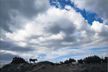  ?? Don Bartletti Los Angeles Times ?? CLOUDS GENERATED BY Tropical Storm Linda off the Baja California coastline fill the sky over the San Diego County backcountr­y along Old Julian Road near Ramona.