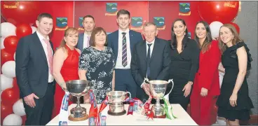  ?? (Pic: Catherine Sheehan) ?? The Mullins family viewing the silverware at the Ballygibli­n GAA victory social.