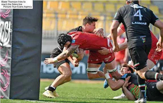  ?? ?? Blade Thomson tries to reach the Zebre line
Picture: Huw Evans Agency