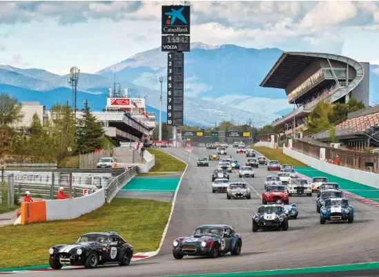  ??  ?? El ataque de la cobra. 43 coches tomaron la salida en la carrera de dos horas de la categoría Sixties' Endurance. Los Shelby Cobra dominaron de principio a fin.