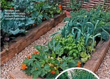  ??  ?? Reliable leek flags add strappy, textural form to a colourful potager