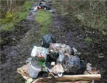  ??  ?? Rubbish shrewn along the back roads near Cliffoney which has been cleared at significan­t cost.