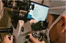  ?? Richard Drew/Associated Press file photo ?? An embryologi­st uses a microscope to view an embryo on Oct. 3, 2013. The Alabama Supreme Court ruled Feb. 16 that frozen embryos can be considered children under state law.