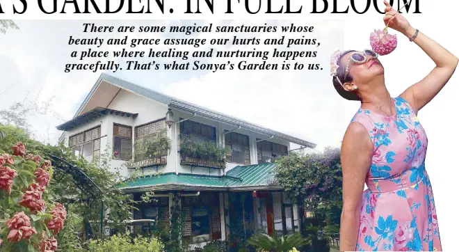  ?? Photos by BUM TENORIO JR. ?? The iconic Lavender cottage at Sonya’s Bed & Breakfast Michelle Soliven basks in the glorious gardens as she smells Butter Bush flowers.