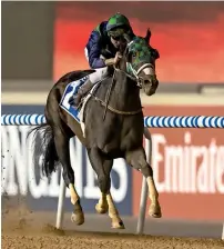  ?? ERA ?? Thegreatco­llection, ridden by Adrie de Vries, gallops to victory at Meydan on Friday. —