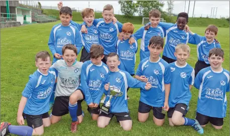  ??  ?? The Baltinglas­s team who claimed the Wicklow-Carlow Cup after a 1-0 victory over a gallant Arklow Town side in Celtic Park.