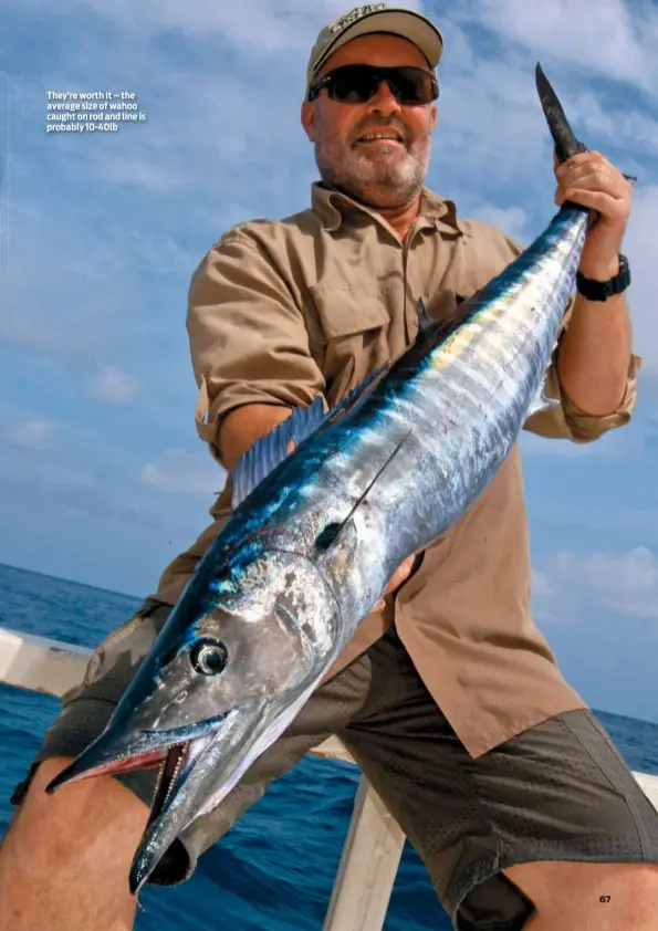  ??  ?? They’re worth it – the average size of wahoo caught on rod and line is probably 10-40lb