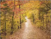  ?? (Courtesy Photo/ Arkansas Department of Parks, Heritage and Tourism) ?? The Boston Mountains Scenic Loop includes the opportunit­y for a pause at Devil’s Den State Park near Winslow.