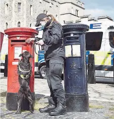  ??  ?? Police sniffer dogs in Windsor ahead of the funeral on Saturday.