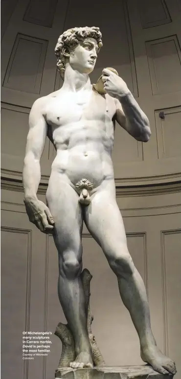  ?? Courtesy of Wikimedia Commons ?? Of Michelange­lo’s many sculptures in Carrara marble,
David is perhaps the most familiar.