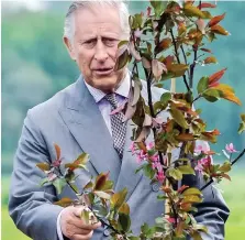  ??  ?? Warning: Prince Charles is ‘desperatel­y concerned’