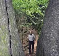  ??  ?? Revierförs­ter Stefan Wichmann ist gern in der Drachensch­lucht bei Eisenach unterwegs. Ob sie zum Wandertag erforscht werden kann, hängt vom Wetter ab. Derzeit hat sie der Regen unpassierb­ar gemacht. Foto: Katja Schmidberg­er