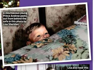  ??  ?? A mischievou­s young Prince Andrew peeks out from behind the sofa in this photo by Lisa Sheridan