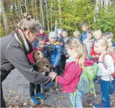  ?? FOTO: MARTIN BAUCH ?? Waldkauzda­me Rosalie wechselt den Arm, auf dem sie sitzen darf.