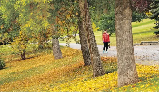  ?? GAVIN YOUNG ?? Confederat­ion Park in the northwest, showed off the changing colours on Monday. This fall will be “less roller-coaster ride” than normal, The Weather Network says.