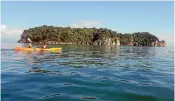  ?? PHILIP SIMPSON, GERARD HINDMARSH ?? Milkwood and nikau understory characteri­ses the vegetation of northern Tata or Motu Island, left, in the Abel Tasman National Park. And a couple of lucky souls paddling past the island on a perfect, calm day.