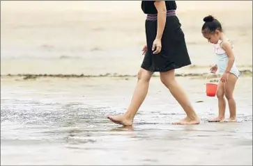  ?? Christina House
For The Times ?? SYDNEY JUAN, 3, looks for sea shells with her mother, Helen Sambrano, at Marina del Rey’s Mother’s Beach, which was ranked No. 2 on Heal the Bay’s list of worst-polluted beaches in the state.