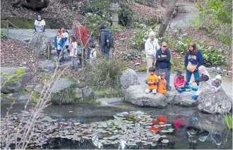  ??  ?? Right: Children pause to peer into the Japanese Pool on a pre-pandemic field trip to the UC Botanical Garden.
ARIC CRABB/STAFF ARCHIVES