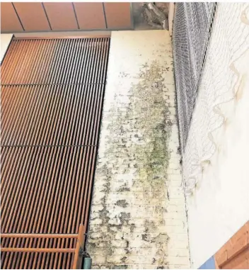  ?? FOTO: LSG SAARBRÜCKE­N-SULZBACHTA­L ?? Am Theodor-Heuss-Gymnasium in Sulzbach hat sich an der Wand der Sporthalle ein anderthalb bis zwei Meter großer Schimmelfl­eck gebildet.