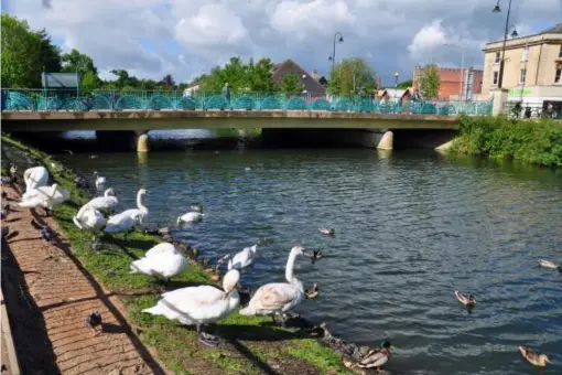  ??  ?? Riverside walks and country pubs are on the doorstep in Chippenham, Wiltshire (Alamy)