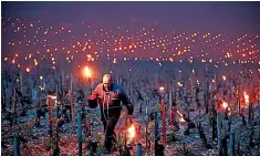  ??  ?? A wine grower lights heaters in early morning to protect vineyards from frost damage