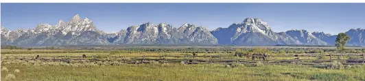  ?? FOTO: DPA ?? Pferde weiden im Tal Jackson Hole vor der Teton Range im US-Bundesstaa­t Wyoming.