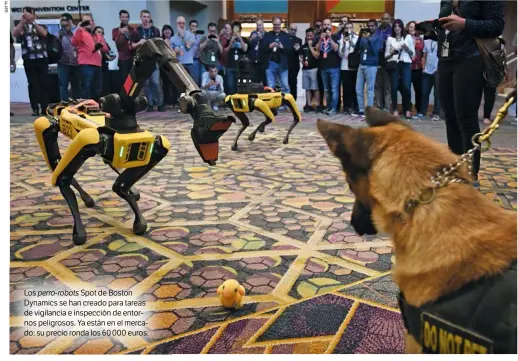  ??  ?? Los perro-robots Spot de Boston Dynamics se han creado para tareas de vigilancia e inspección de entornos peligrosos. Ya están en el mercado: su precio ronda los 60 000 euros.