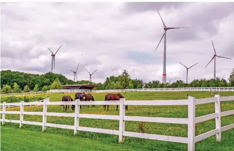  ?? FOTO: ROLF RUPPENTHAL ?? Die Geräusche und Bewegungen der sechs Windräder könnten Panik bei Dressurpfe­rden auslösen, fürchten die Betreiber des Peterhofes.