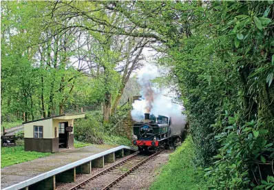  ??  ?? GWR 64XX 0-6-0PT No. 6435 at the Bodmin & Wenford Railway's Coleslogge­tt Halt. JASON ELLWAY