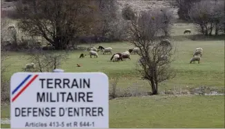  ?? (Photos doc Philippe Arnassan et Frantz Bouton) ?? À Canjuers, le pastoralis­me représente   moutons répartis sur les   hectares du camp militaire. Les parcs et les chiens de protection ne suffisent pas à éviter les attaques de loups.