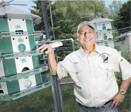  ?? DAX MELMER ?? Dennis Shady shows some of his purple martin housing units at his home on Ambassador Beach near the village of Colchester on Monday. Shady, a member of the Ontario Purple Martin Associatio­n, is doing his part to provide a safe habitat for the declining...