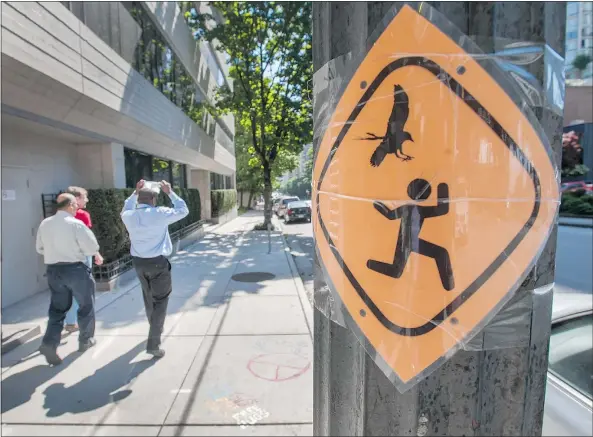  ?? ARLEN REDEKOP/PNG ?? A pedestrian covers his head Wednesday while walking past a sign warning of dive-bombing crows in the 800-block Richards Street. ‘It might be little bit scary. But they’re not really going to hurt you,’ says Vancouver Avian Research Centre founder...