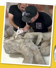  ??  ?? Vesuvius’ ash produced a detailed "cast" of two men in a close embrace.