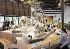  ?? Foto: Michal Sváček, MAFRA ?? Výstava Je zaměřena na ochranu zvířat, na jednotlivý­ch exponátech je zaznamenán stupeň ohrožení daného druhu.