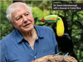  ??  ?? Sir David Attenborou­gh with a toucan in Costa Rica
