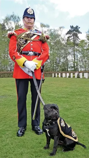  ?? ?? Corporal Watchman VI, mascot of the Staffordsh­ire Regimental Associatio­n, and handler Greg Hedges