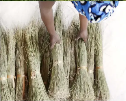  ??  ?? CLOCKWISE FROM ABOVE Sweetgrass bundles ready to be woven into baskets at Covanya Cooperativ­e in Rwanda; Rwanda -“the land of a thousand hills”; One of Indego’s artisan partners and Vocational Training students weaving a basket at Josepha Cooperativ­e...